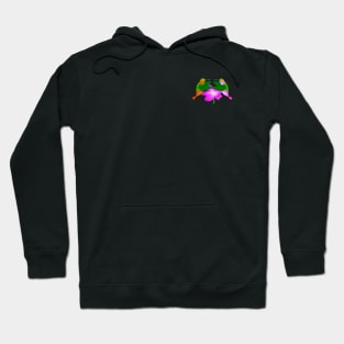 Hummingbirds (small image) Hoodie